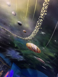 森晖博物馆【东莞墙绘】