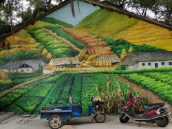 麻涌芙蓉沙文化墙